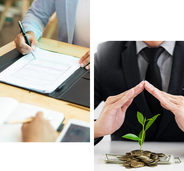 Midsection businessman shielding sapling money office
